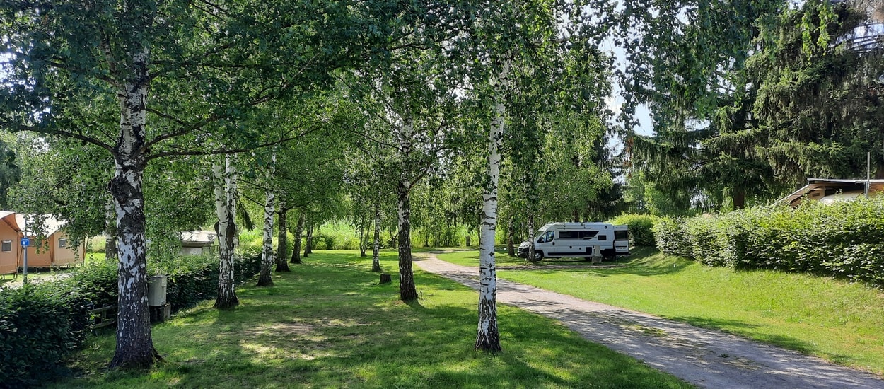 Camping Onlycamp l'Orée d'Alsace — Photo 4