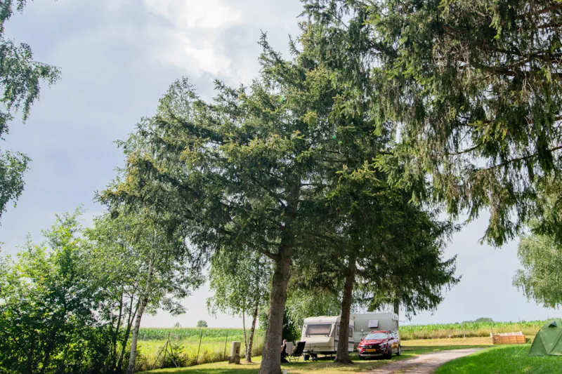 Forfait Camping (Emplacement, 2 Personnes, 1 Véhicule)