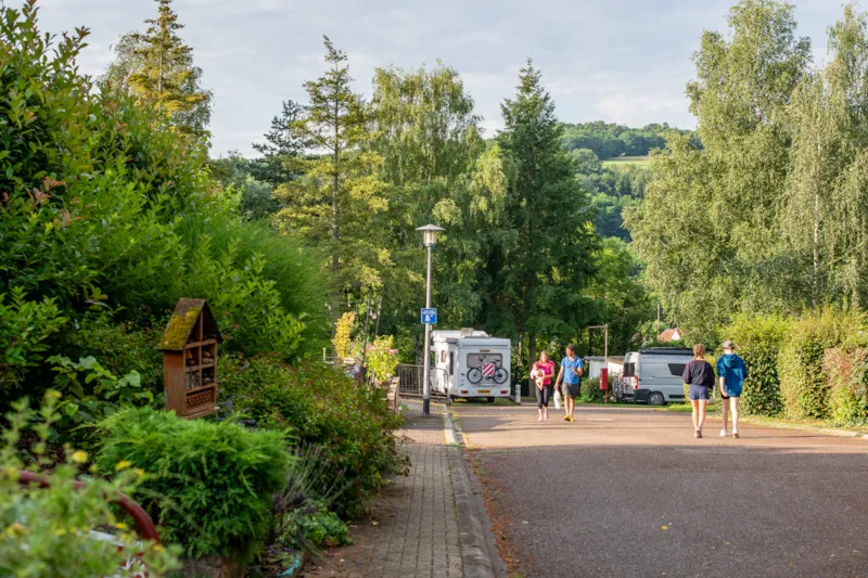 Forfait Camping (Emplacement, 2 Personnes, 1 Véhicule)
