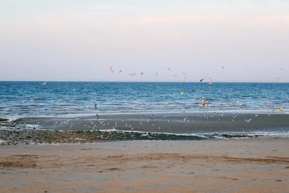 YELLOH! VILLAGE - CAMPING LA CAPRICIEUSE