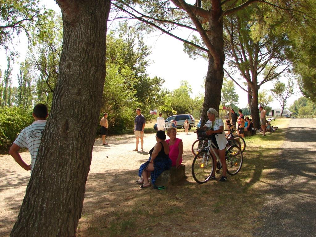 Activités Camping Avignon Parc - Vedène