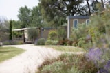 Foto #6 van Camping Avignon Parc