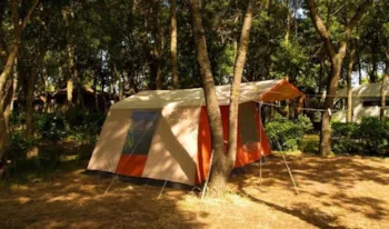 Stellplatz - Stellplatz Classic | 120M² | Mit Strom - - Camping Marina d'Erba Rossa