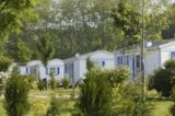 Foto #5 van Castel Camping Château de Poinsouze