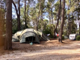 Camping le Devançon - image n°4 - Roulottes