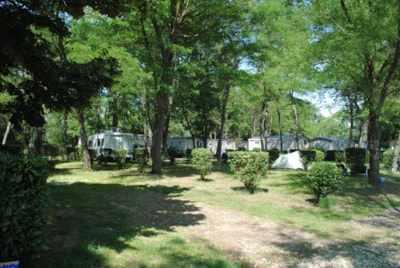 Nature Package (2 persons / 1 tent, caravan or motorhome / 1 car)