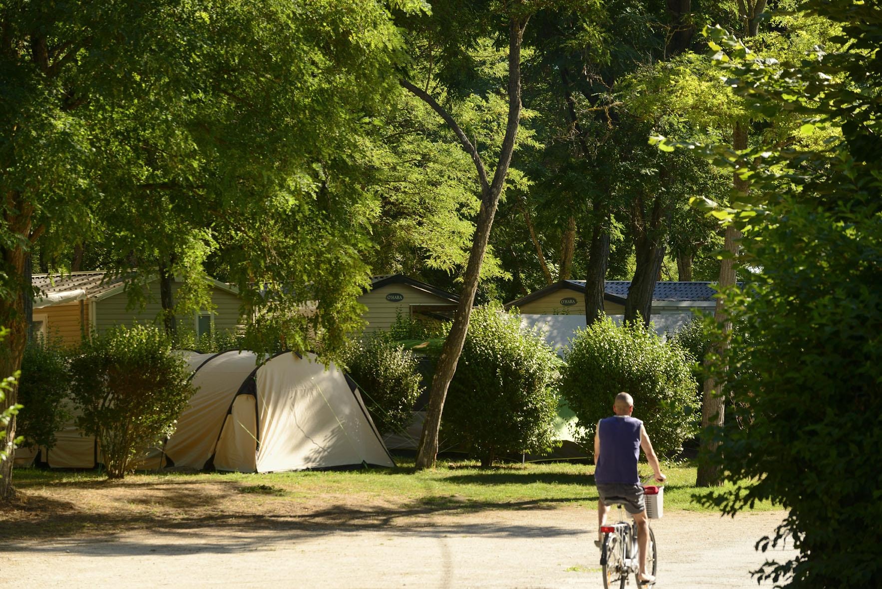 Camping Les Portes de Sancerre — Photo 2