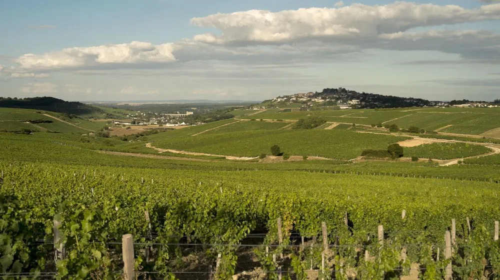 Camping Les Portes de Sancerre - image n°22 - UniversalBooking