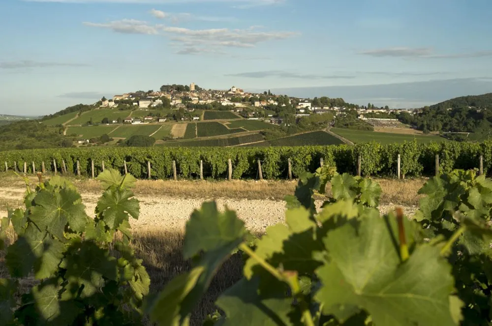 Camping Les Portes de Sancerre - image n°24 - UniversalBooking