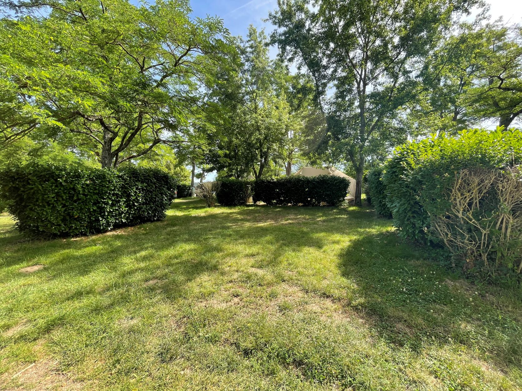 Stellplatz Confort (2 personen / 1 Zelt, Wohnwagen, Wohnmobil / 1 Auto / Strom 16A)