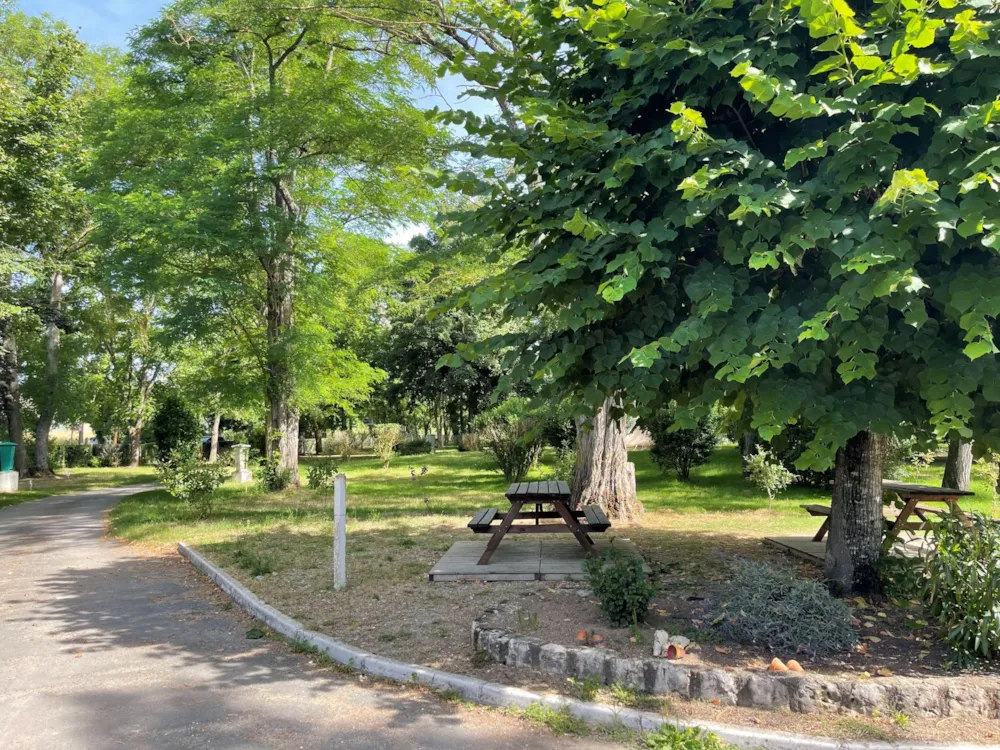 Emplacement - Forfait Rando-Cyclo - Camping Les Portes de Sancerre