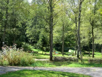 Stellplatz - Individuelle Pauschale: Zelt + Fahrrad / Motorrad (Ohne Strom) - Camping du Mettey****