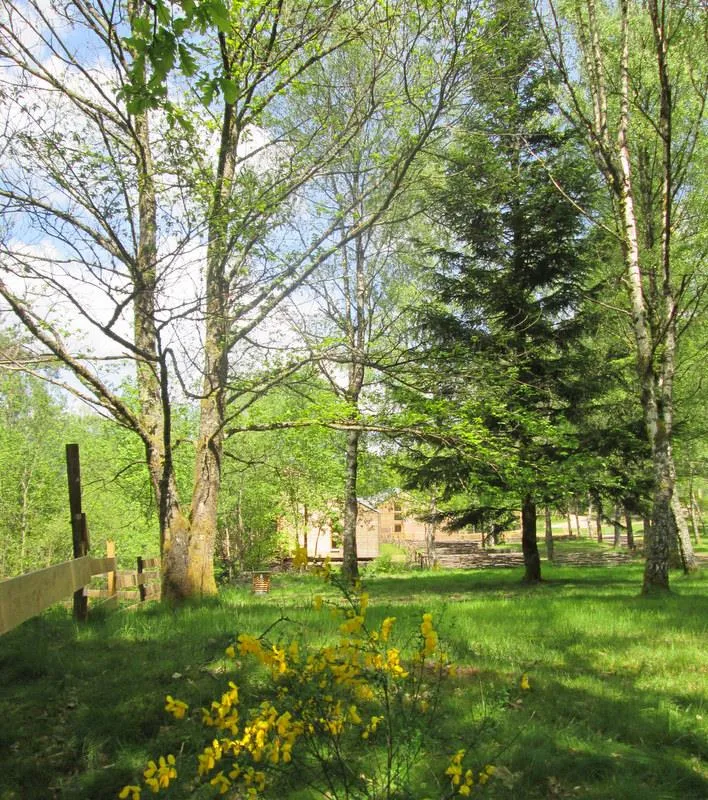 Forfait Individuel: Tente + Vélo Ou Moto (Sans Électricité)