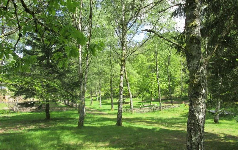 Forfait B: Emplacement Tente, Caravane Ou Camping Car + Véhicule Parking + Électricité 16A