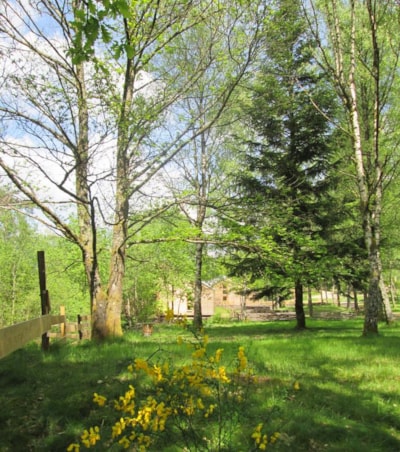 Package B: Pitch, 1 tent, caravan or motor home + vehicle parking + electricity — 5