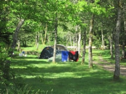 Pitch - Package A: Pitch Without Electricity, 1 Tent, Caravan Or Motor Home + Vehicle Parking - Camping du Mettey****