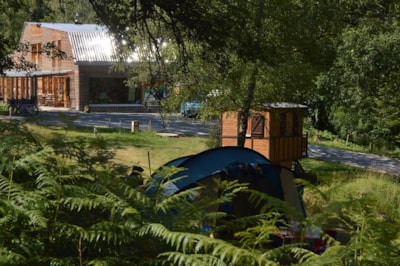 Package B: Pitch, 1 tent, caravan or motor home + vehicle parking + electricity — 8