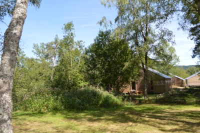 Package B: Pitch, 1 tent, caravan or motor home + vehicle parking + electricity — 7