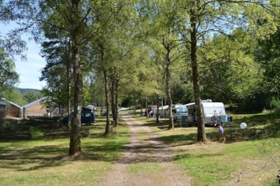 Package B: Pitch, 1 tent, caravan or motor home + vehicle parking + electricity — 9