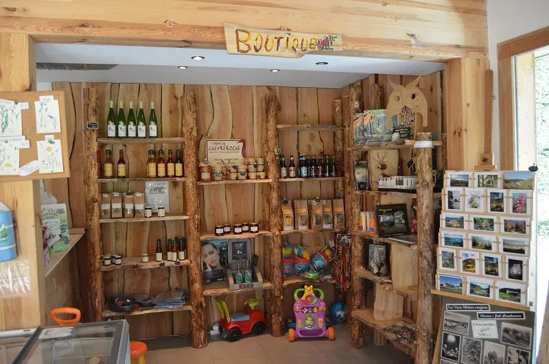 Camping du Mettey****