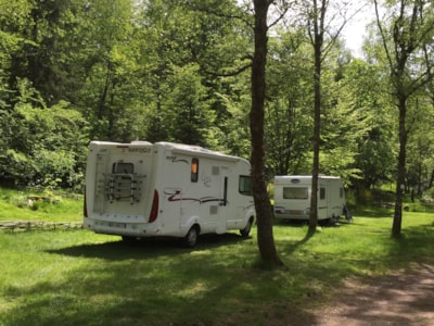 Package B: Pitch, 1 tent, caravan or motor home + vehicle parking + electricity — 10