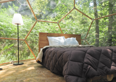 Starry dome — 1