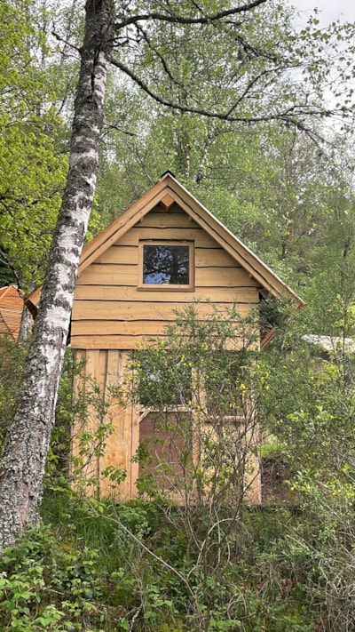 randovosgesA — 6