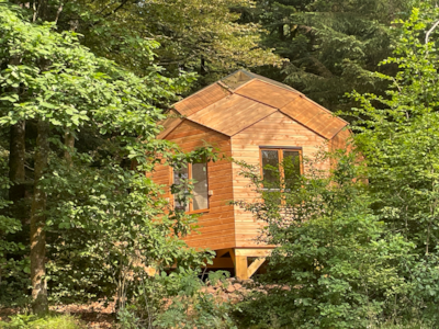 Zome forestier — 6