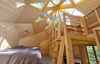 Zome forestier — 5