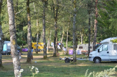 Package A: pitch 2 people electricity 10A - tent + parking — 10
