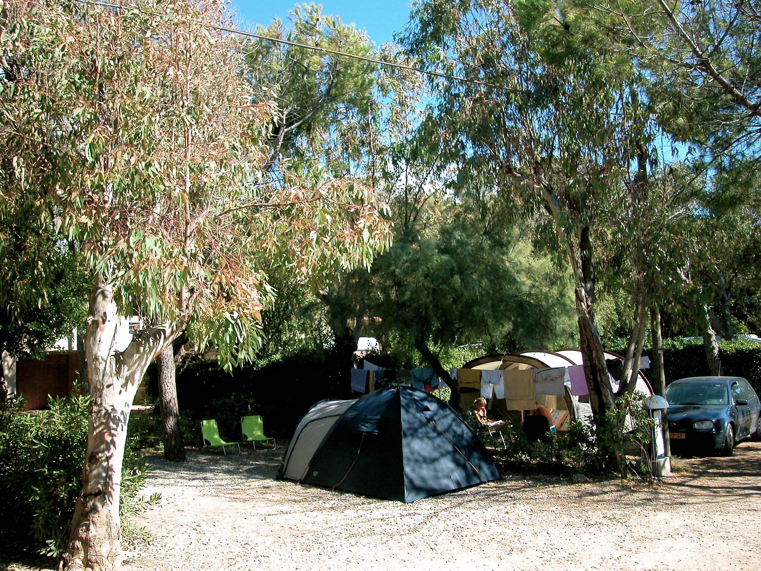 Emplacement - Emplacements Standard - Camping Miramare
