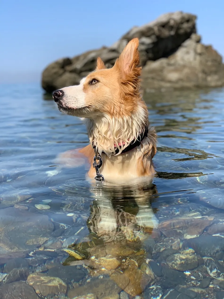 MIRAMARE Village - Apartments - Camping