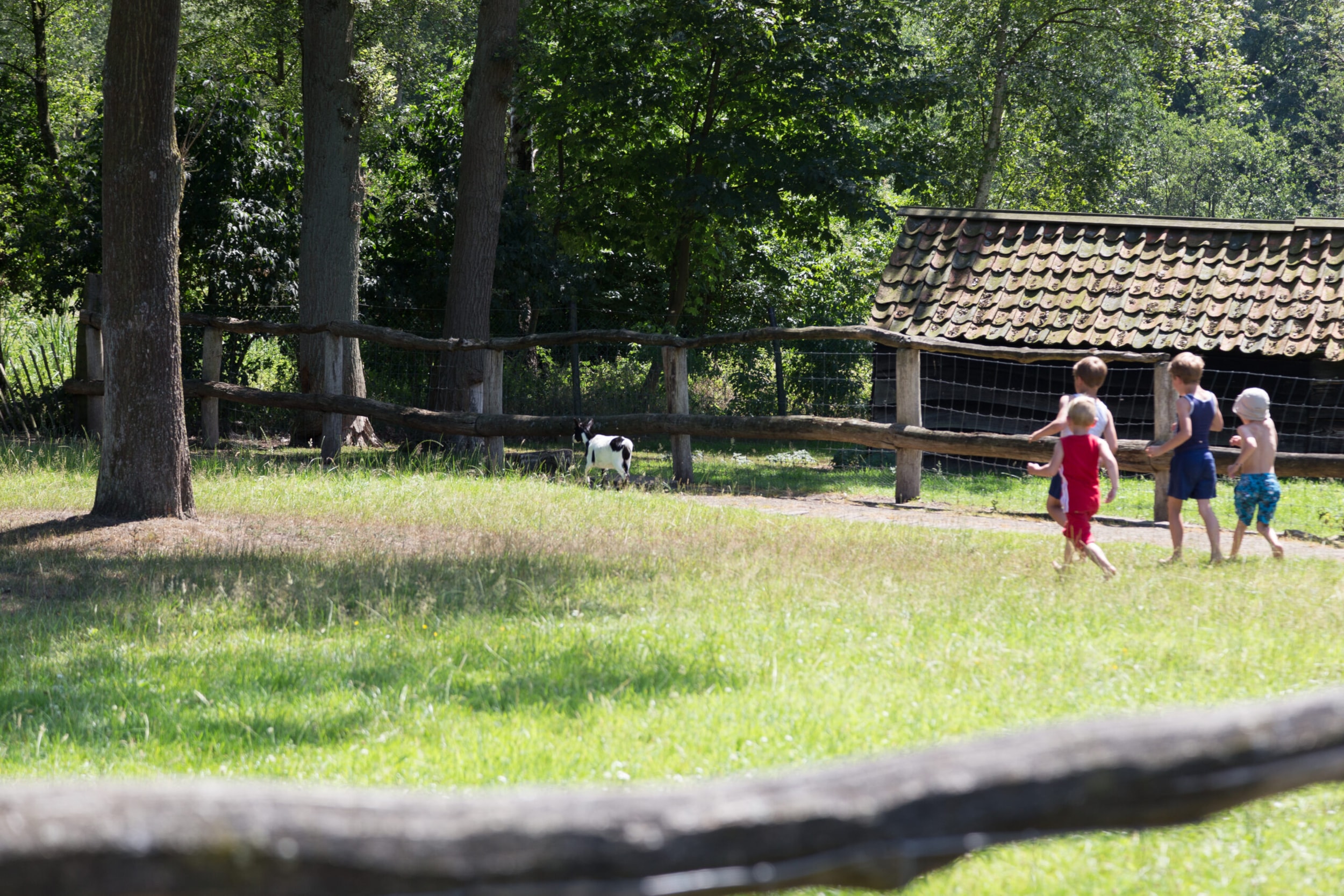 Camping Houtum — Photo 6