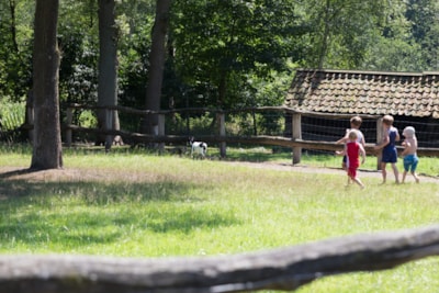 Camping Houtum