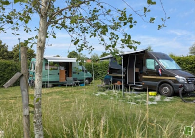Basic pitch tent/caravan and car / camping car — 8