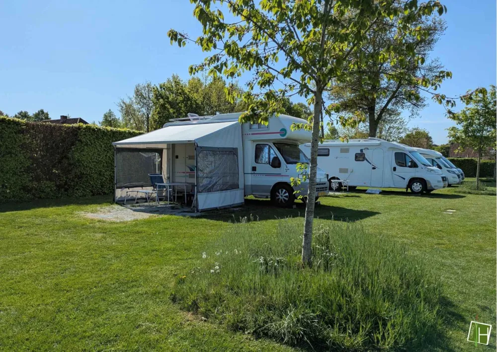 Stellplatz Basic  Zelt/Wohnwagen Und Auto / Wohnmobil