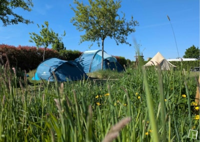 Pitch tent and bicycle — 2