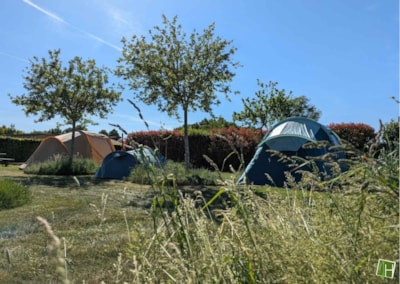 Pitch tent and bicycle — 4