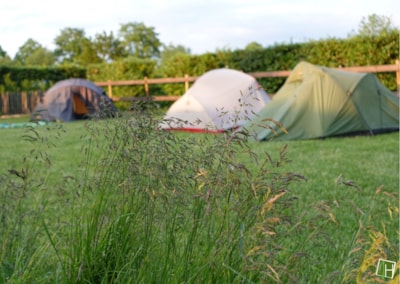 Pitch tent and bicycle — 5