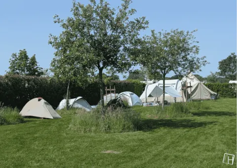 Camping Houtum