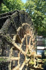 Foto #27 van La Sorguette