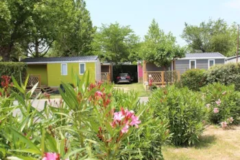 Mietunterkunft - Mobil-Home Romarin - La Sorguette***
