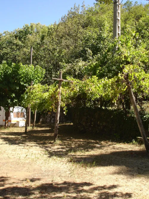 Emplacement - Emplacement Tente Ou Caravane - image n°7 - Camping du Pont de Mercier
