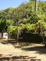 Foto #4 van Camping du Pont de Mercier