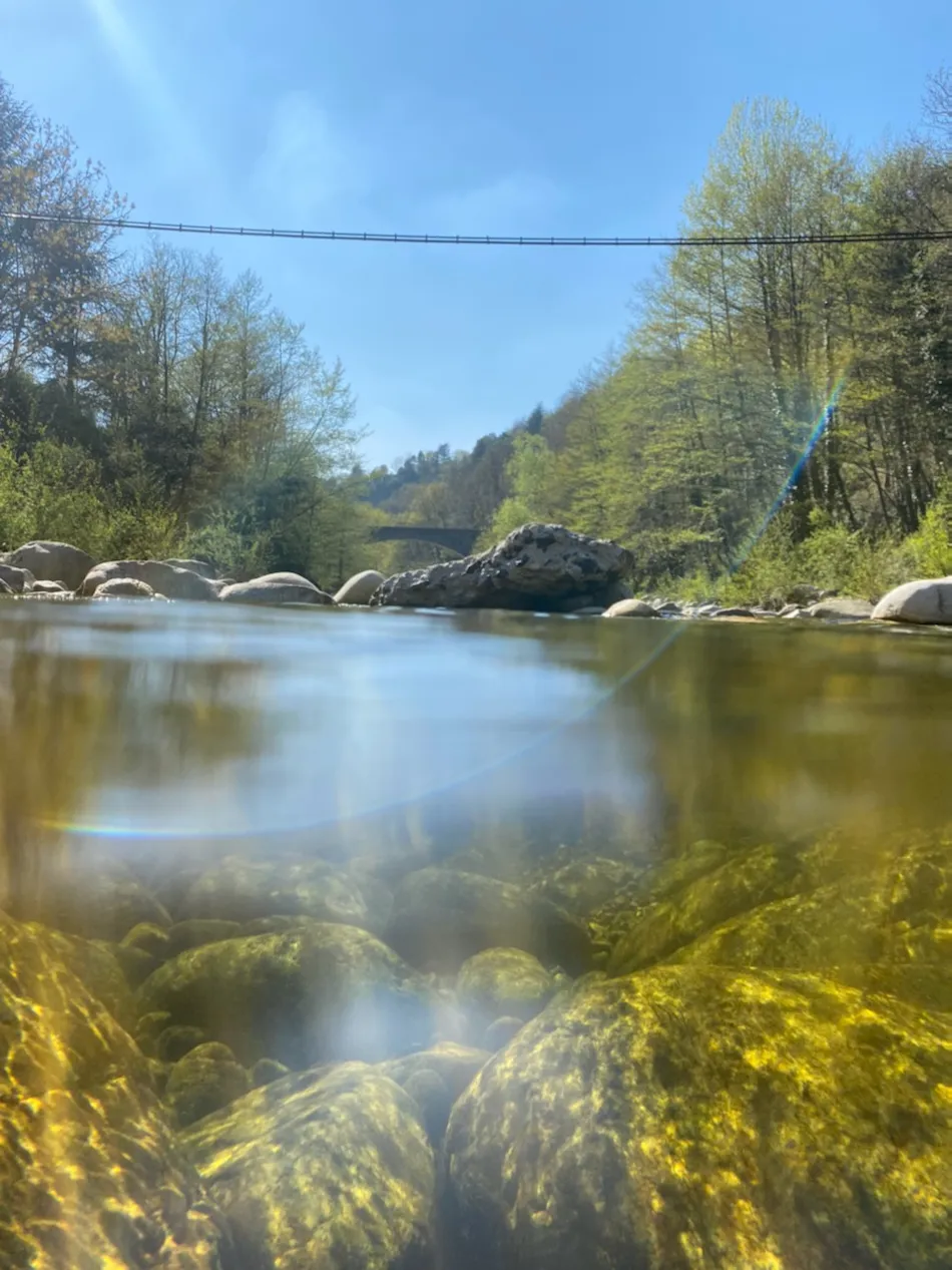 Camping du Pont de Mercier