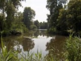 Foto #37 van Vakantiepark Witven