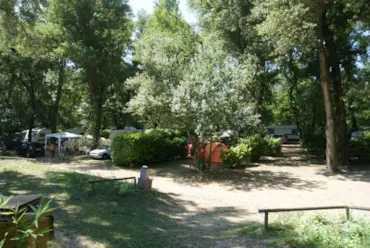 Le Bois des Roches - Drome