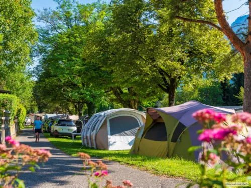 Emplacement - Emplacement Standard (Élec. 6A Inclus) + 1 Voiture - image n°2 - Camping La Ferme