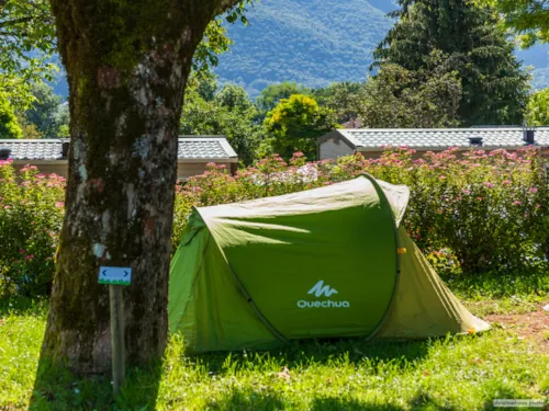 Emplacement - Emplacement Standard (Élec. 6A Inclus) + 1 Voiture - image n°5 - Camping La Ferme