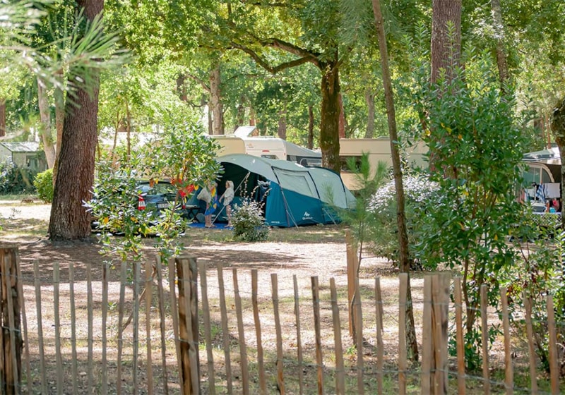 Stellplatz für Van, Zelt, Wohnwagen